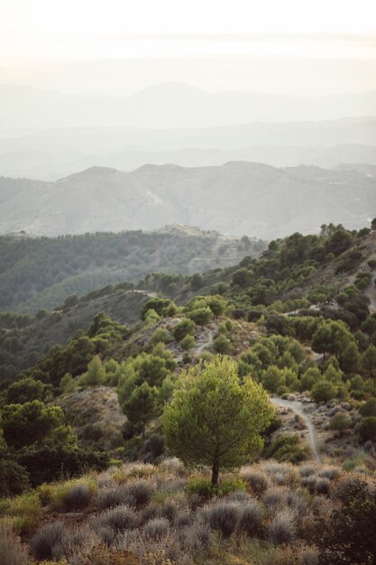 High view shot of a single sky with mountains