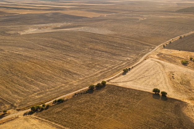 High view variety of autumn plain taken by drone