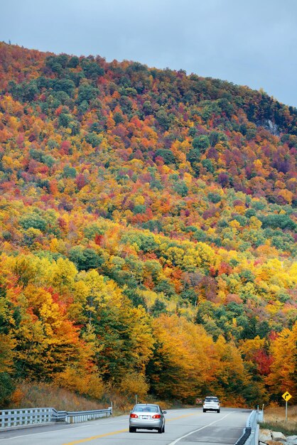 Highway and Autumn foliage in White Mountain, New Hampshire.