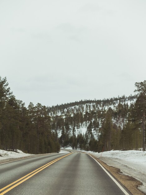 highway in the center of the snowy forest under the dark sky