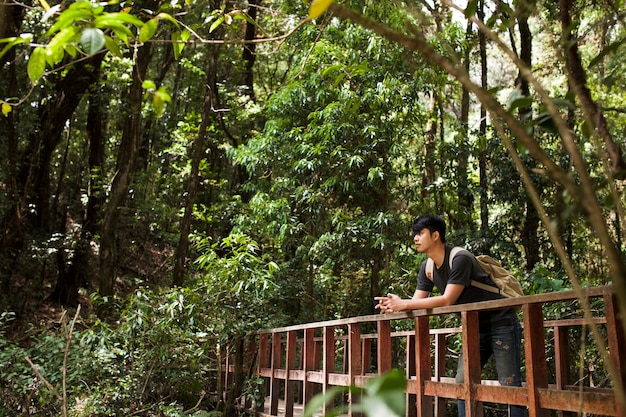 Hiker on bridge in jungle