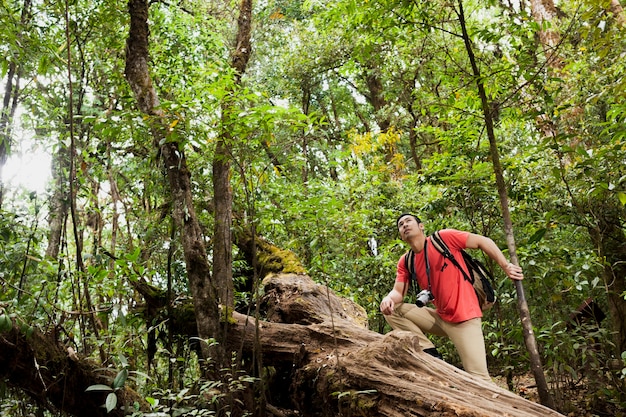 Hiker climbing over tree trunk