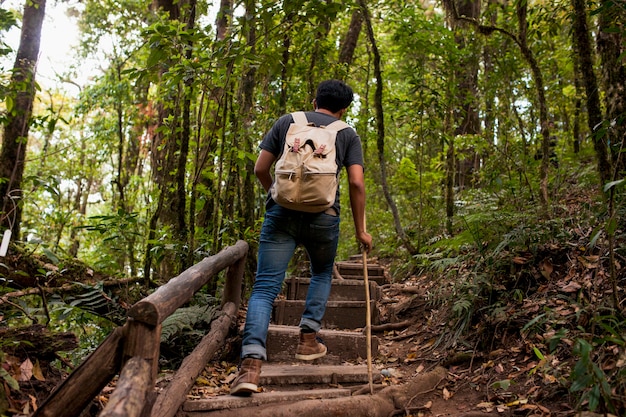 Free photo hiker climbing up stairs