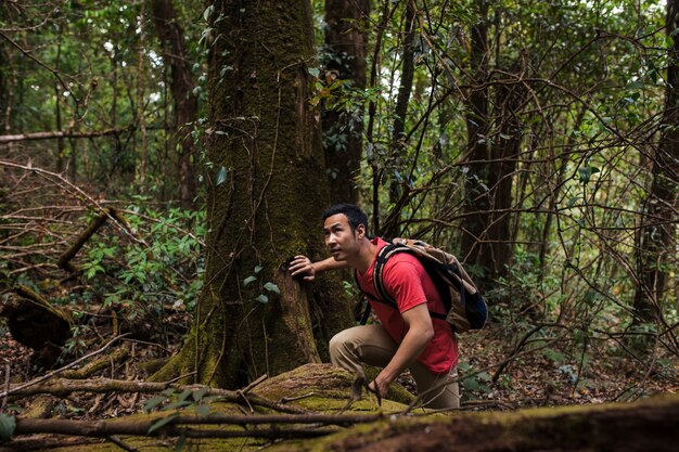 Hiker exploring wilderness