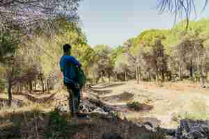 Free photo hiker in forest holding backpack