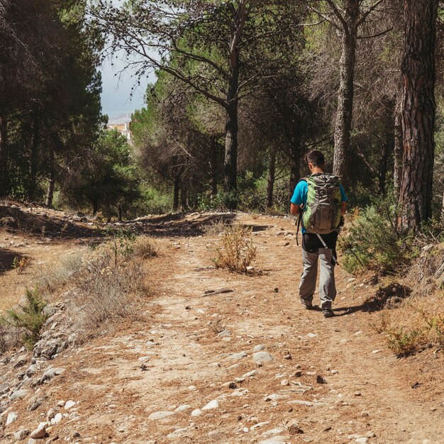 Hiker in forest