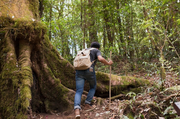 Free photo hiker going uphill