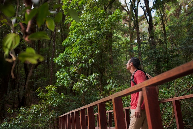 Hiker looking above on a bridge