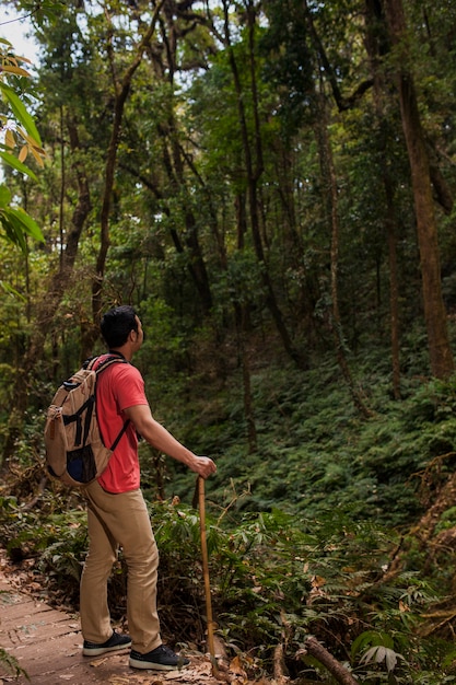 Hiker looking at forest