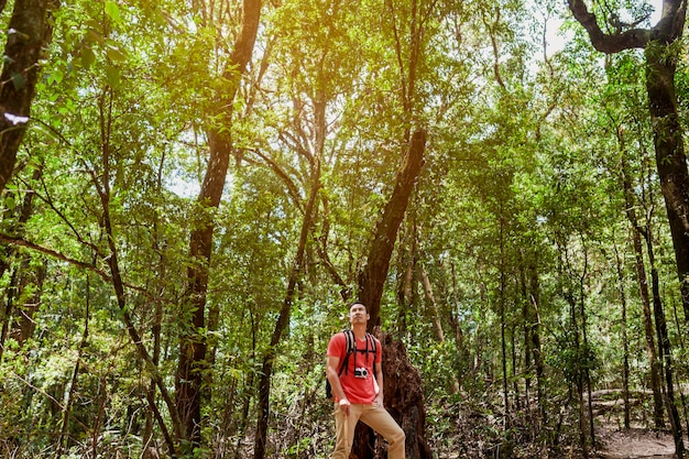 Free photo hiker looking upwards