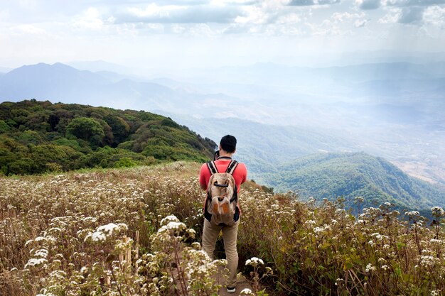Free Photo hiker in mountainous landscape