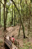 Бесплатное фото hiker на деревянной дороге в лесу