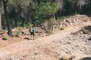 Free photo hiker on path in forest