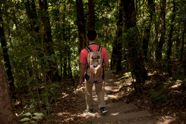 Hiker на пути в лесу