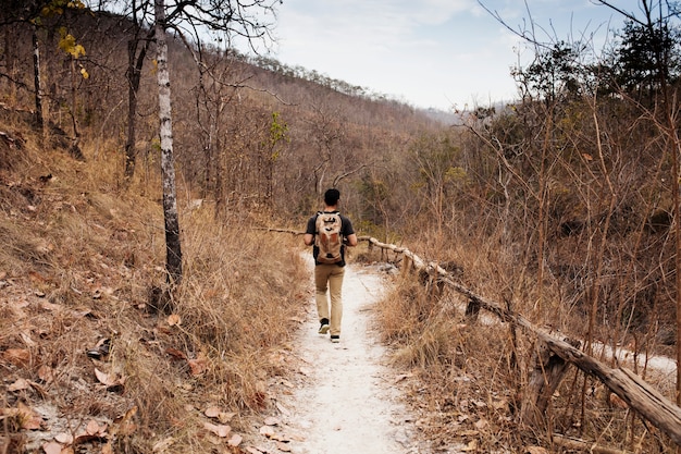 Hiker on path in wilderness