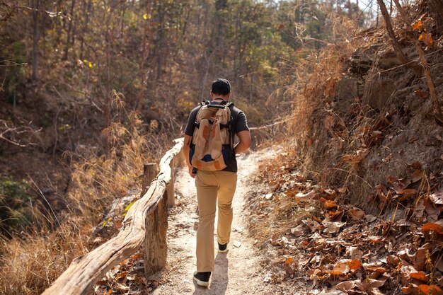 Hiker on pathway