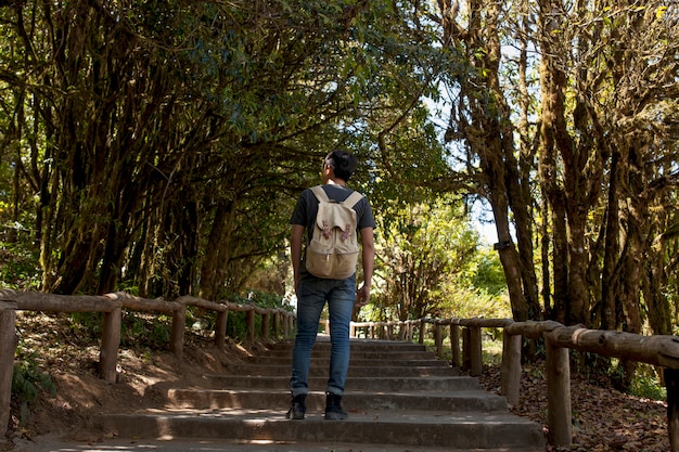 Hiker on stairs in forest