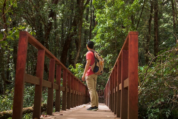 Free photo hiker standing on bridge