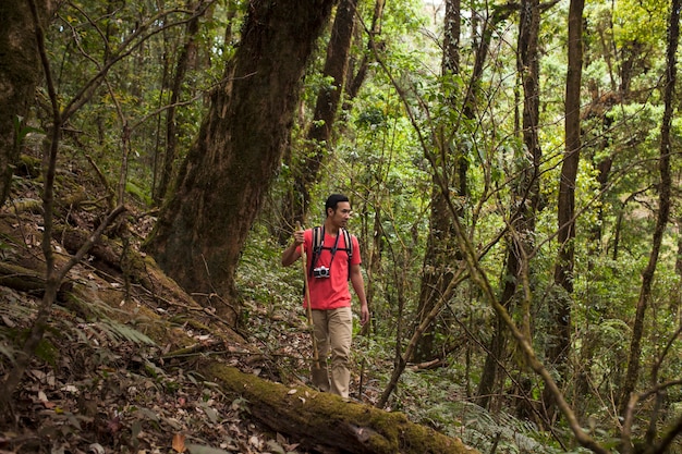 Free photo hiker standing below huge tree