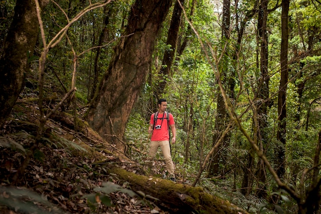 Hiker standing next to huge tree