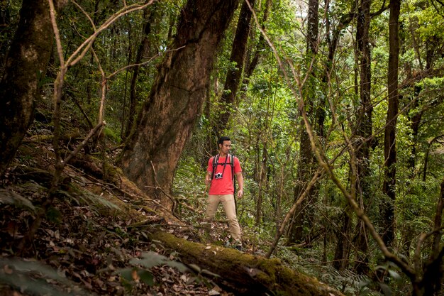 Hiker standing next to huge tree