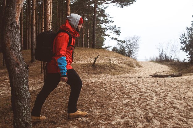 Hiker standing on sandy path beyond a tree