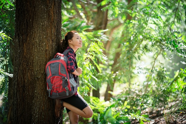 hiker sun nature hiking active