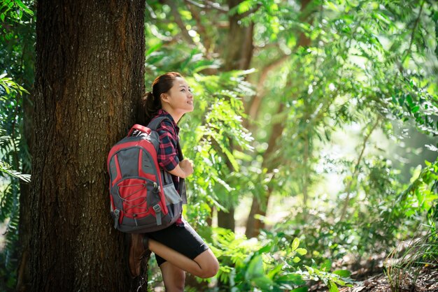 hiker sun nature hiking active