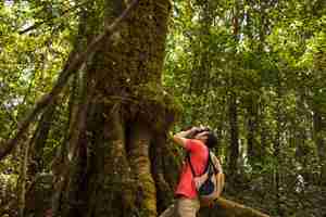 Foto gratuita escursionista di scattare una foto di un albero enorme