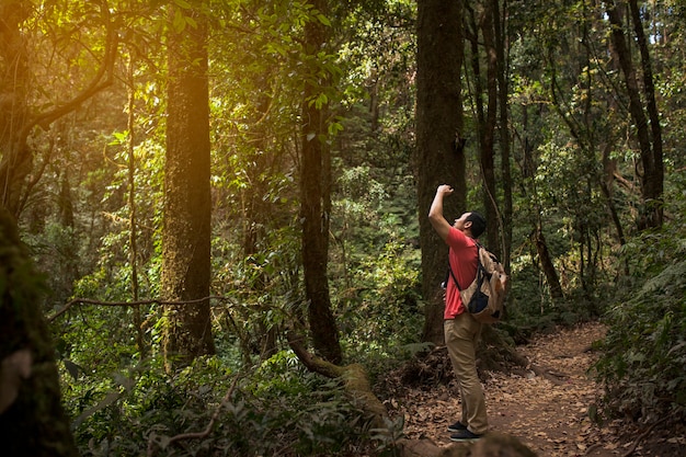 Hiker taking photo of a tall tree