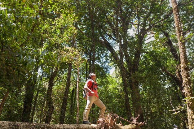 Hiker on tree trunk