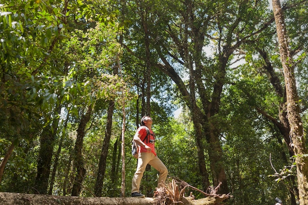 Hiker on tree trunk