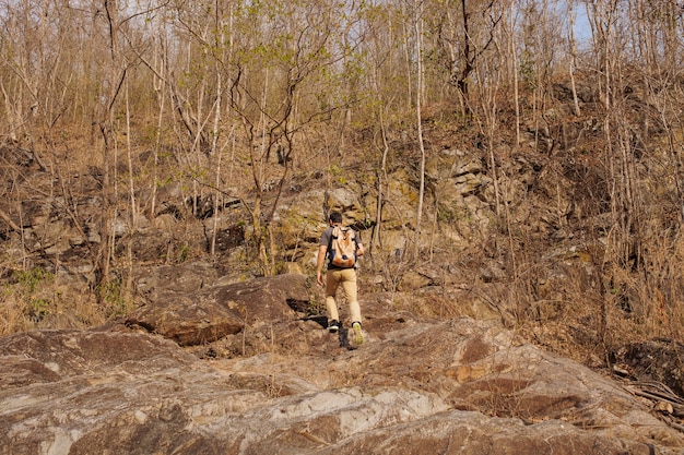 Hiker walking into woods