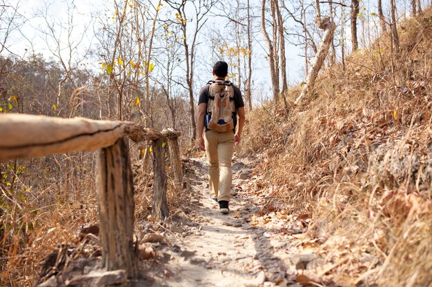 Escursionista a piedi sulla strada