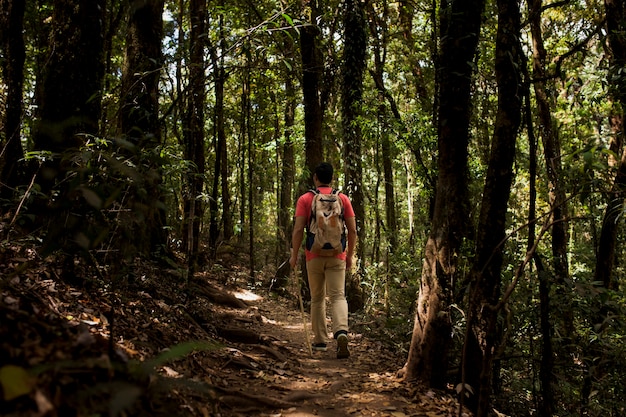 Hiker walking through dark forest