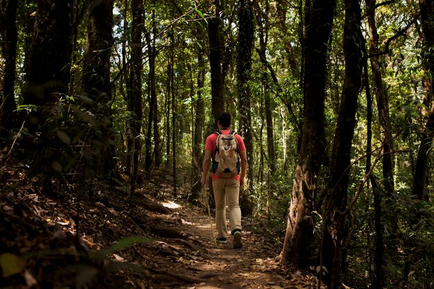 Hiker walking through dark forest