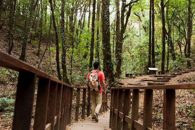 Hiker walking over a wooden bridge