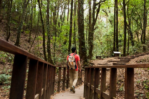 Hiker walking over a wooden bridge