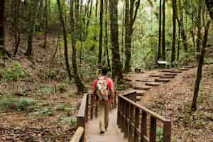 Free photo hiker walking on wooden path in the forest