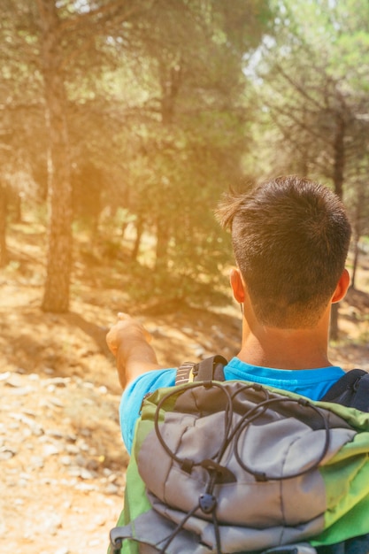 Free photo hiker with backpack in forest