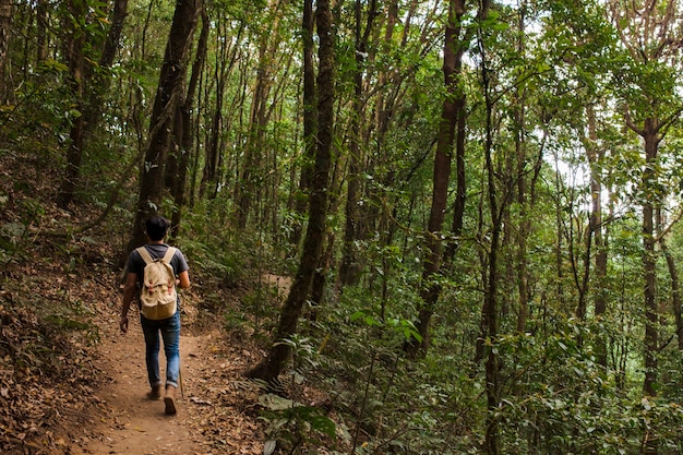 Hiker with backpack walking in the forest