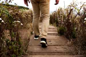 Free photo hiker on wooden path