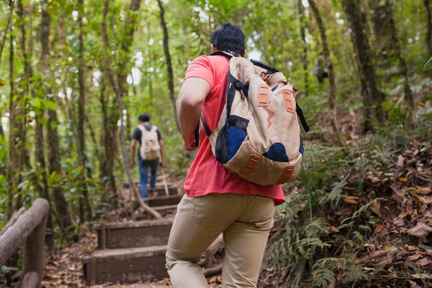 Hikers on stairs