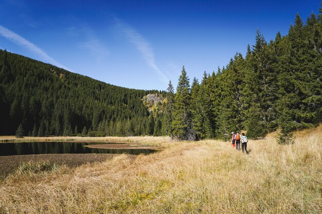 山、木々、湖のある風光明媚な風景に沿ったトレイルのハイカー
