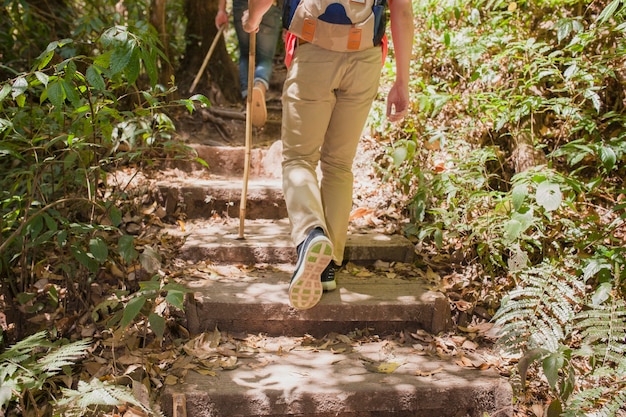 Hikers walking up stairs in the jungle