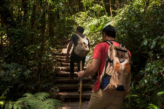 Hikers walking up stairs