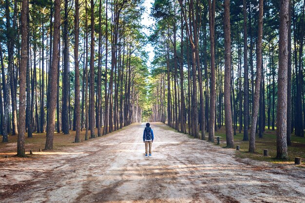 Hiking man with backpack walking in forest.