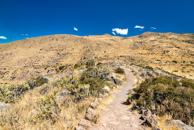 世界​で​最も​深い​峡谷​の​1​つ​で​ある​ペルー​の​コルカキャニオン​の​ハイキング​トレイル