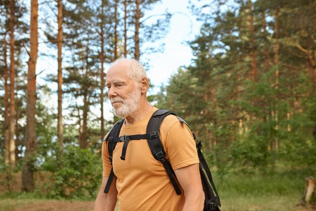 Hiking, trekking and adventure concept. Waist up image of handsome energetic senior man with stubble backpacking in forest alone posing against pine trees, carrying black rucksack