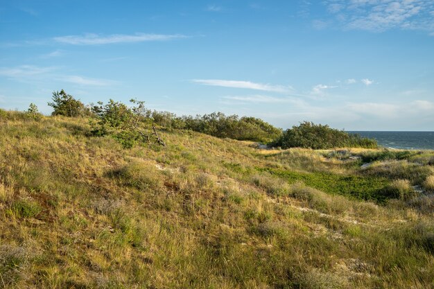 Hill covered in greenery with the sea under sunlight and a blue sky